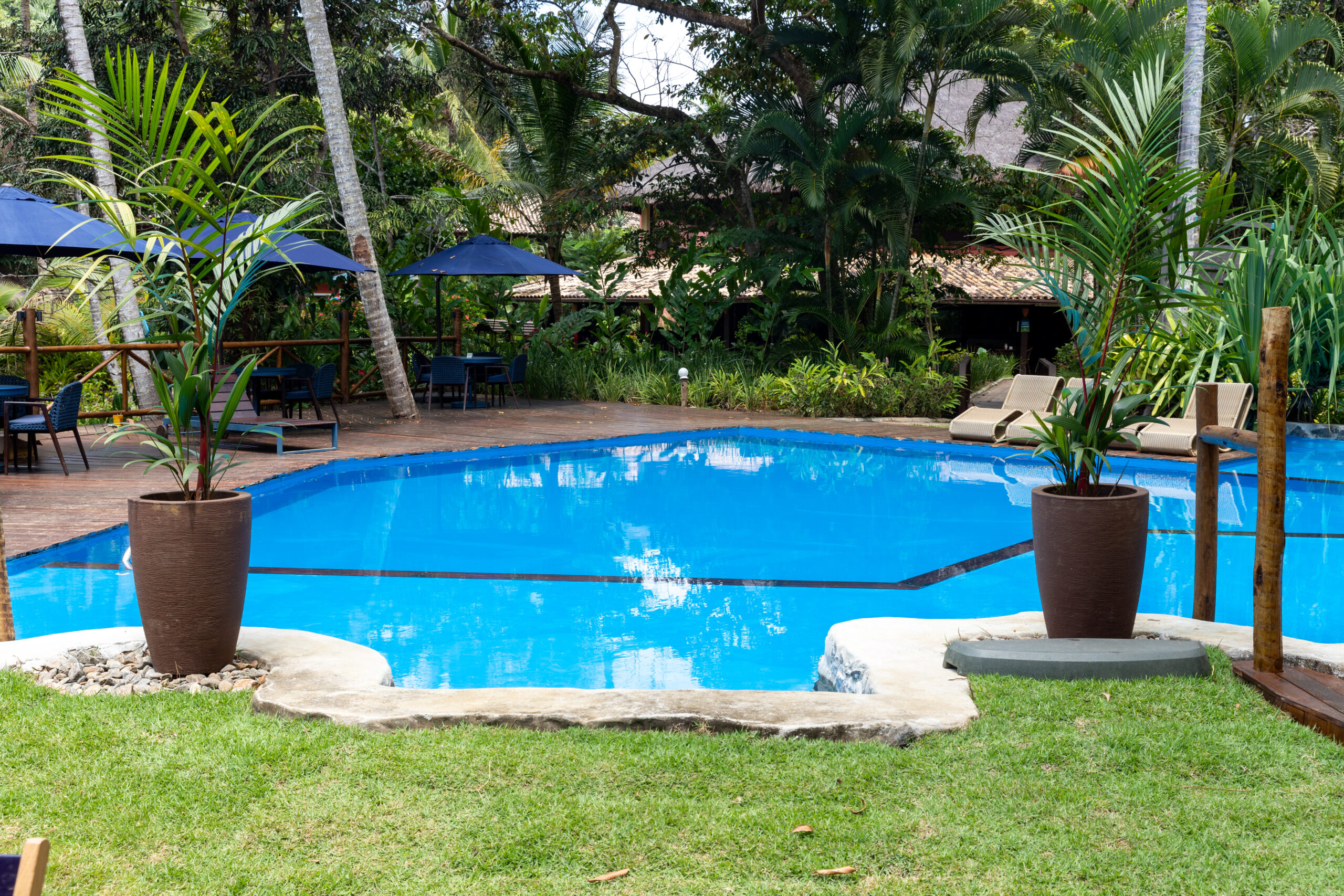 Piscina natural cercada pela Mata Atlântica